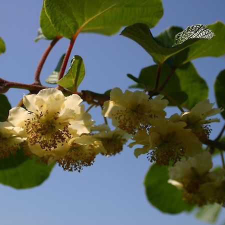Boekel B&B Aan De Burgt מראה חיצוני תמונה